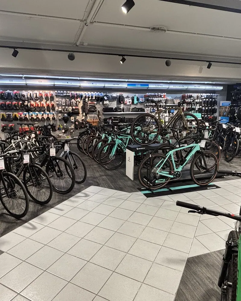 Verkaufsraum mit Rennrädern und Mountainbikes